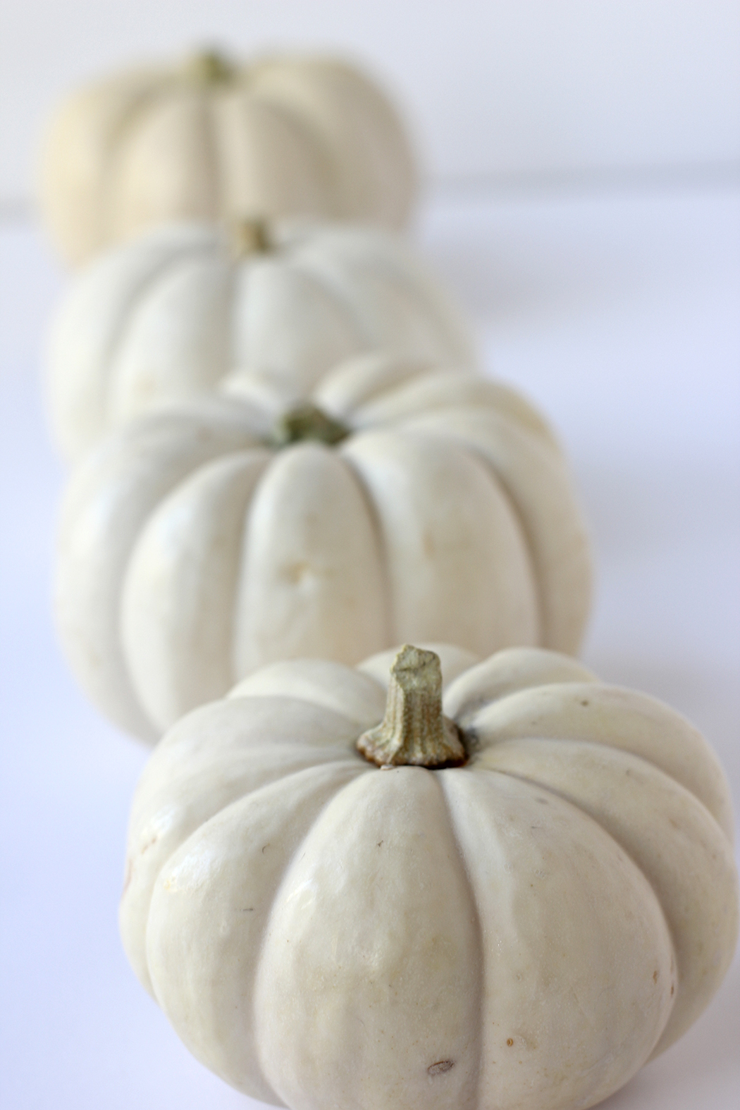 white pumpkins for DIY confetti pumpkins 