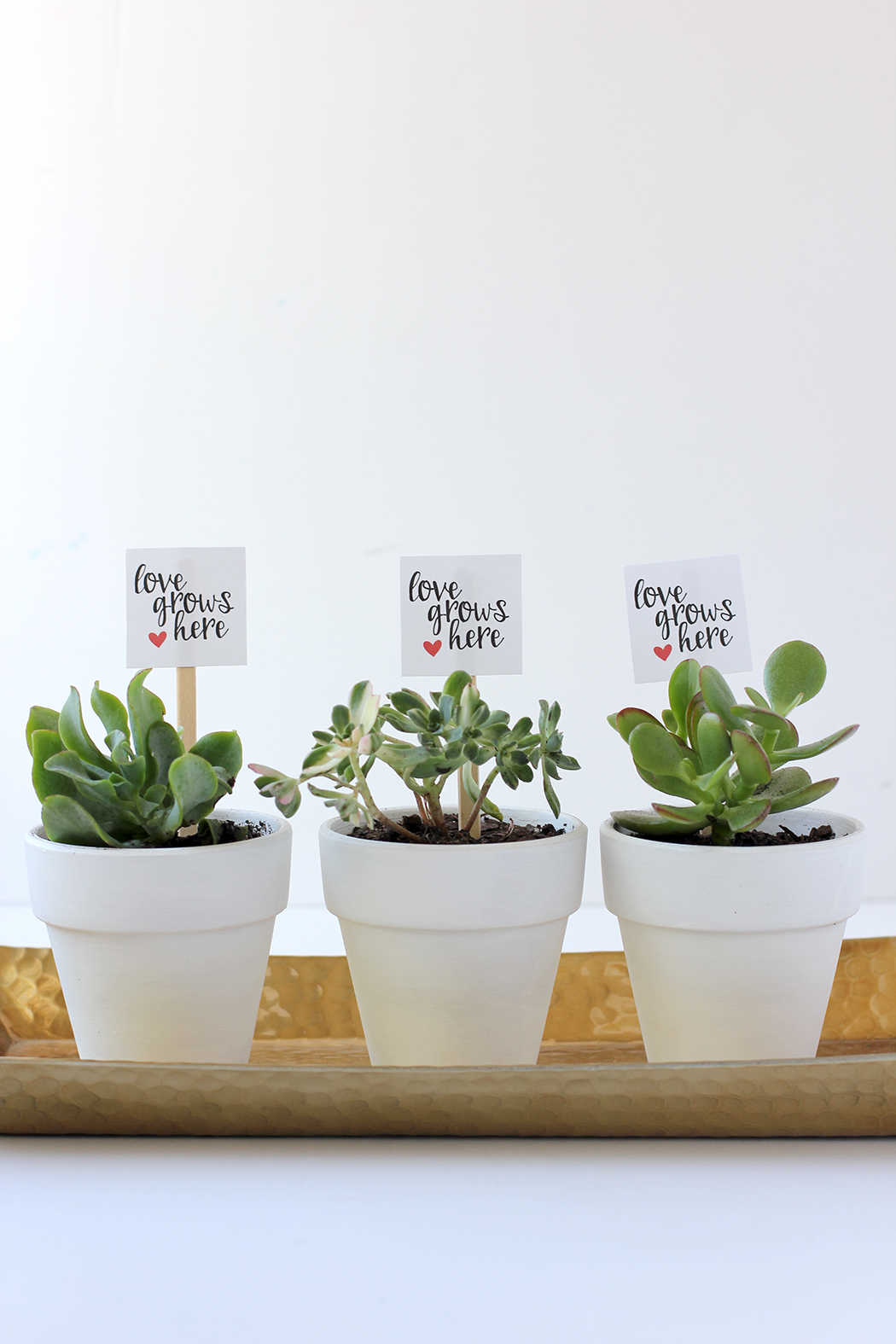 Make these sweet potted plants for Valentine's Day party favors with free printable, Love Grows Here!